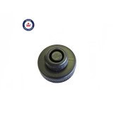 BISSELL Water Tank Cap, 2037735