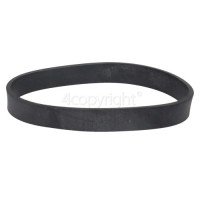 BISSELL Pump Motor Belt, 1634219