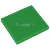 BISSELL Pre-Motor Filter, 2031073