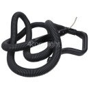 BISSELL Hose & Grip Assembly, 2153163