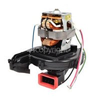 BISSELL Motor - Powerbrush Units, 2038131