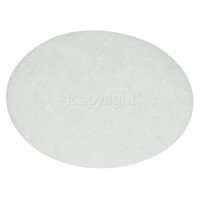 BISSELL Secondary Filter, 2030165