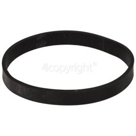 BISSELL Pump Belt Flat, 1606428