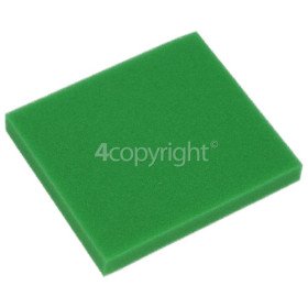 BISSELL Pre-Motor Filter, 2031073