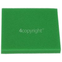 BISSELL Pre-Motor Filter, 2031073