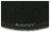 BISSELL Pre Motor Foam Filter, 1602393